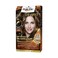 Schwarzkopf Palette Deluxe Intense Oil Care Hair Colour 6-4 Cashmere Light Brown 50ML